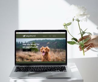 komplet-grafik_hjemmeside-design_soegshund